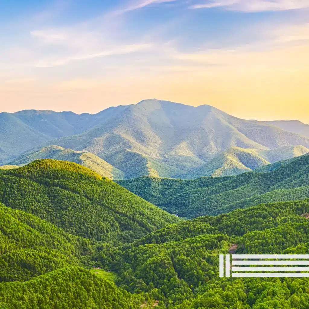 Détente Avec Marimba