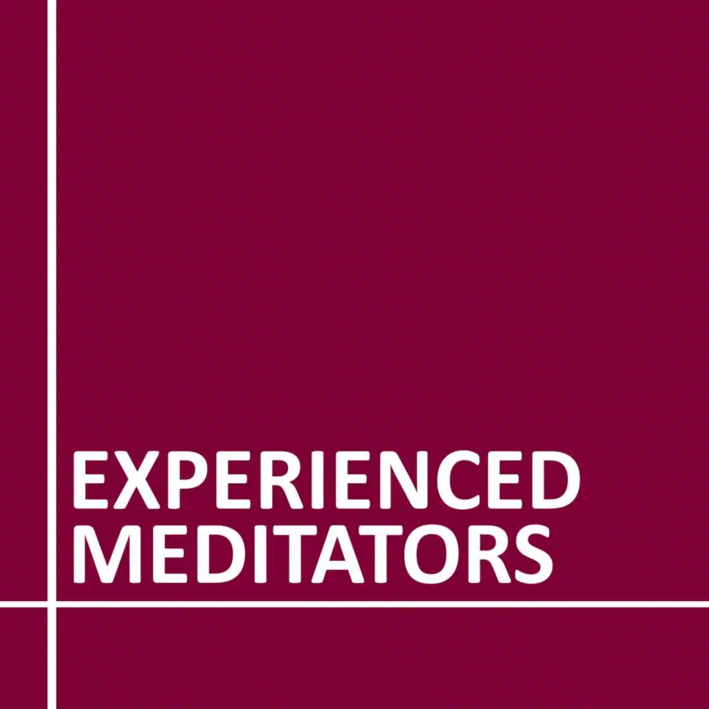 Experienced Meditators