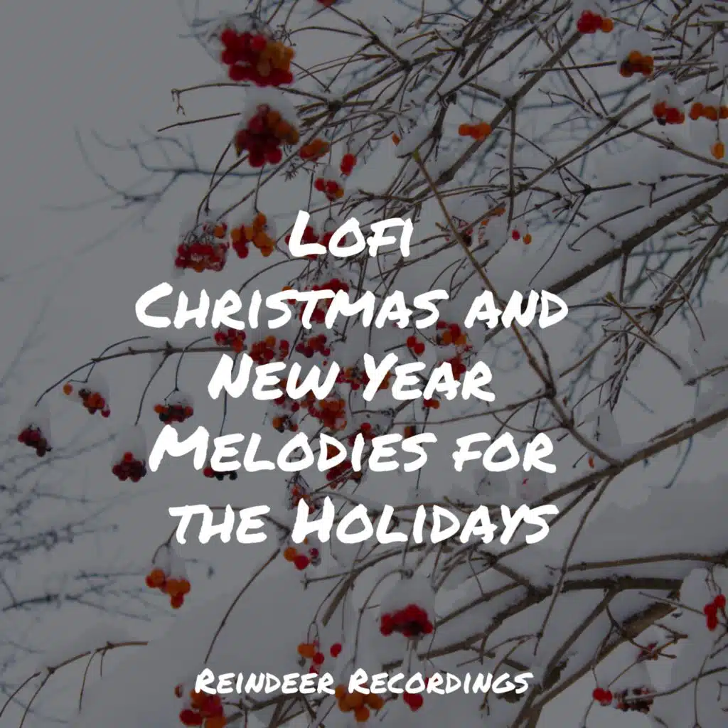 Xmas Music, Christmas DJ & Traditional Christmas Carols Ensemble