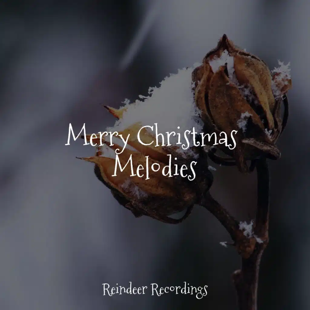 Top Christmas Songs, Chansons de Noel Academie & Christmas Music Collective