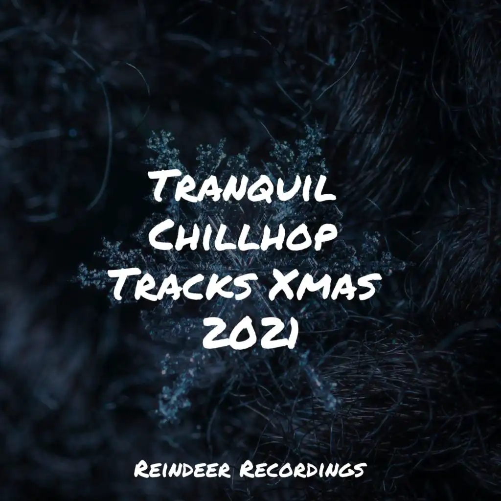 Tranquil Chillhop Tracks Xmas 2021