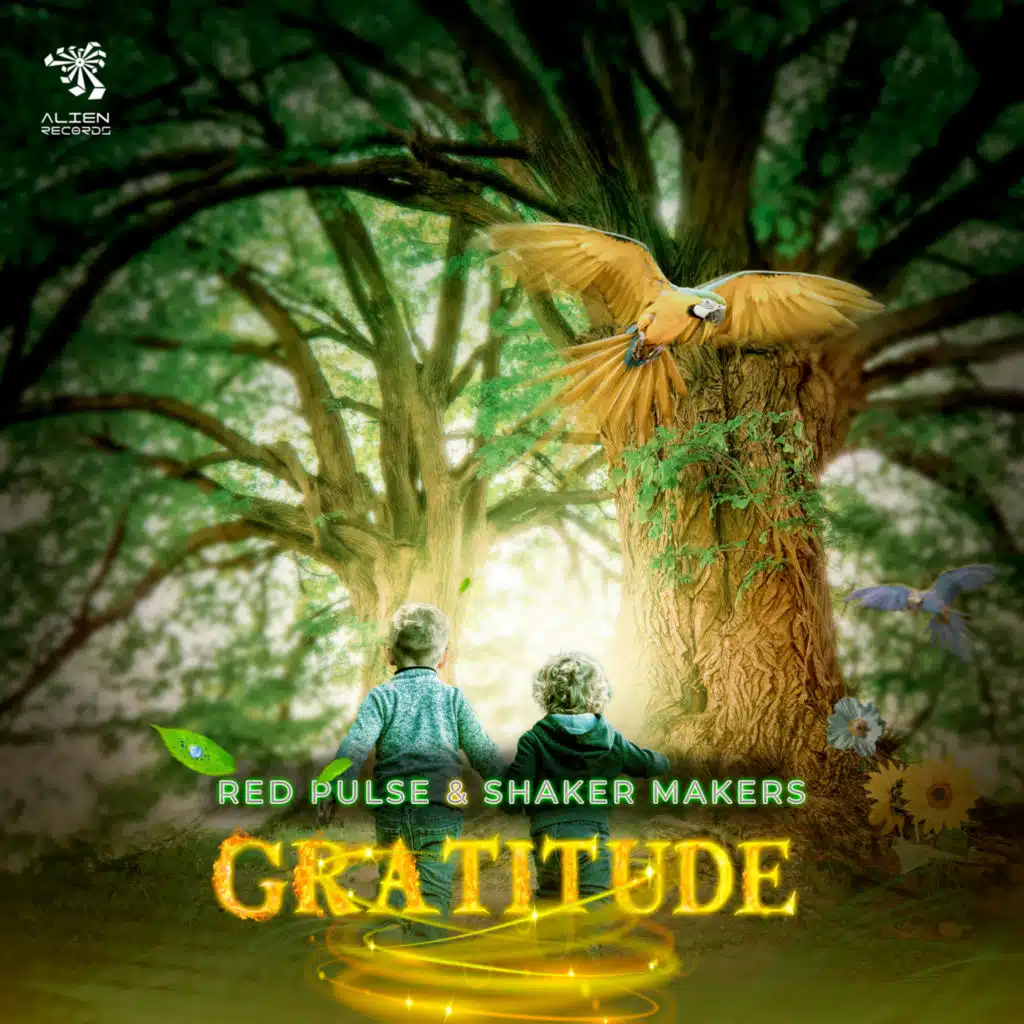 Red Pulse & Shaker Makers