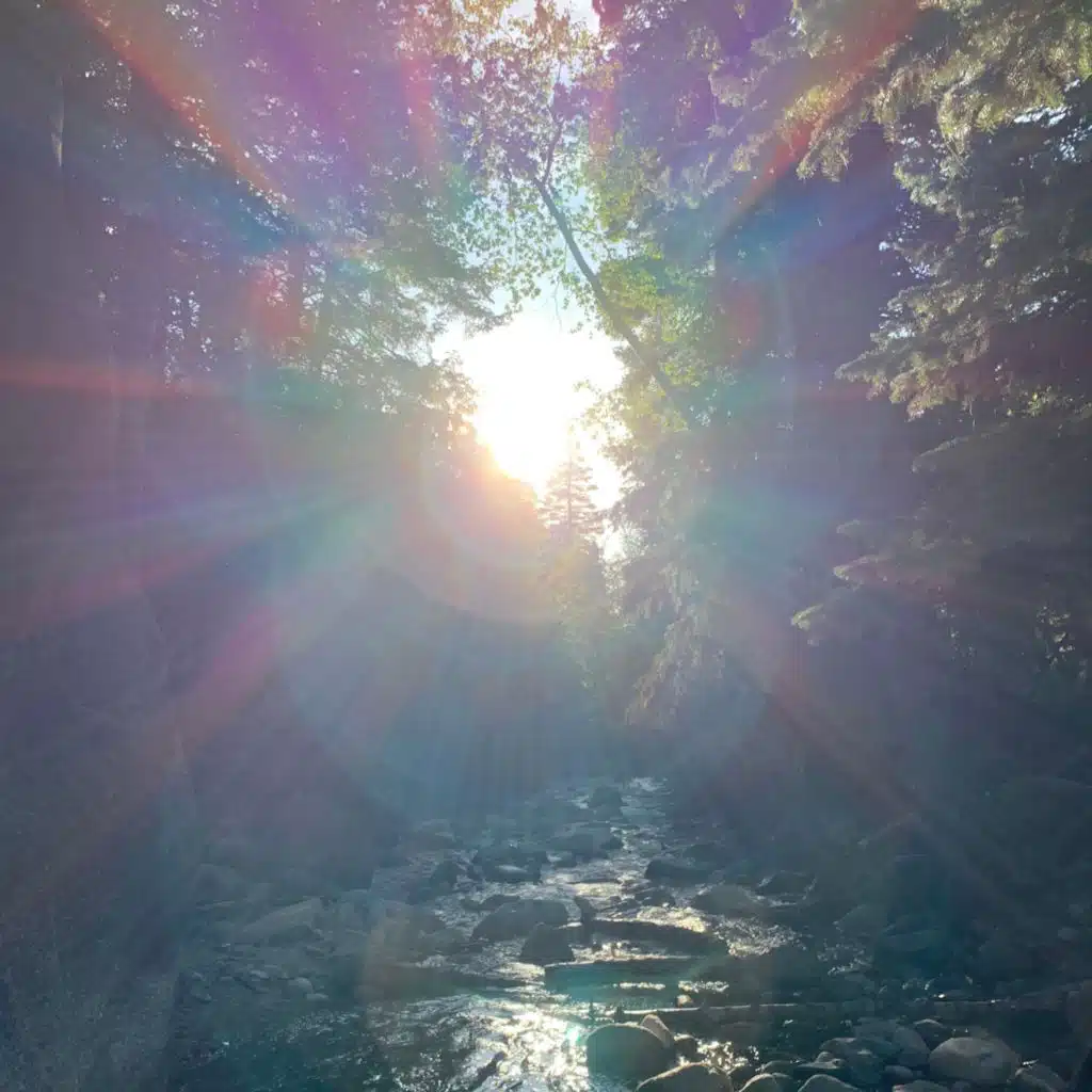 hiddxn Archive Tapes