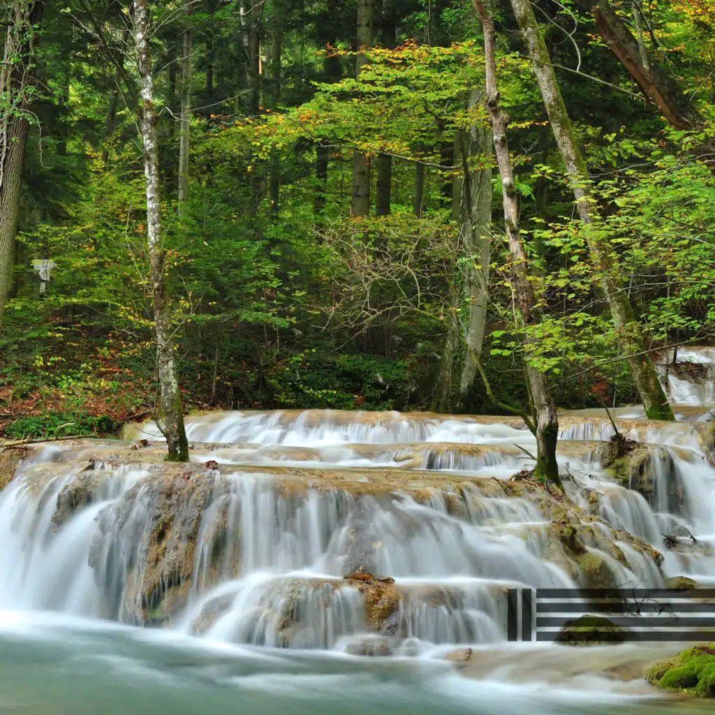 Cascada Agradable (Bucle)