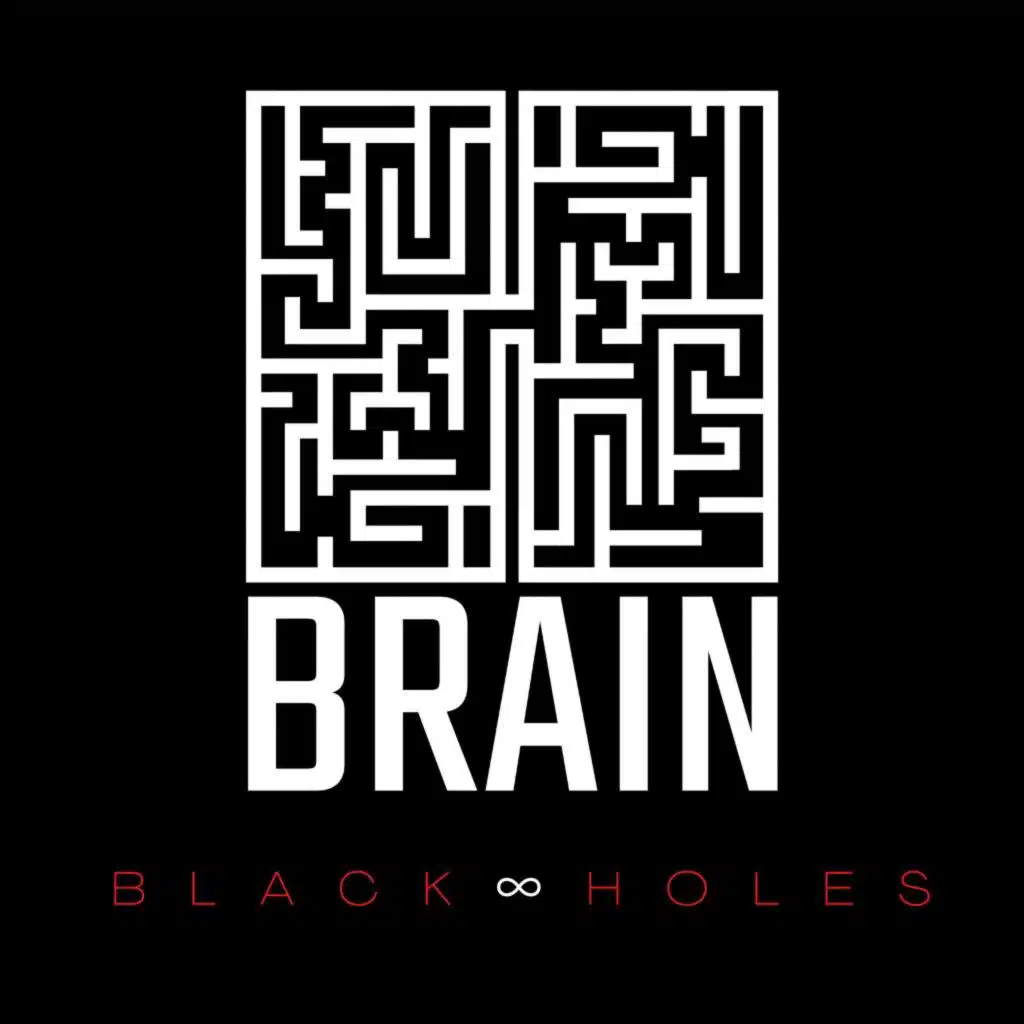 Black Holes