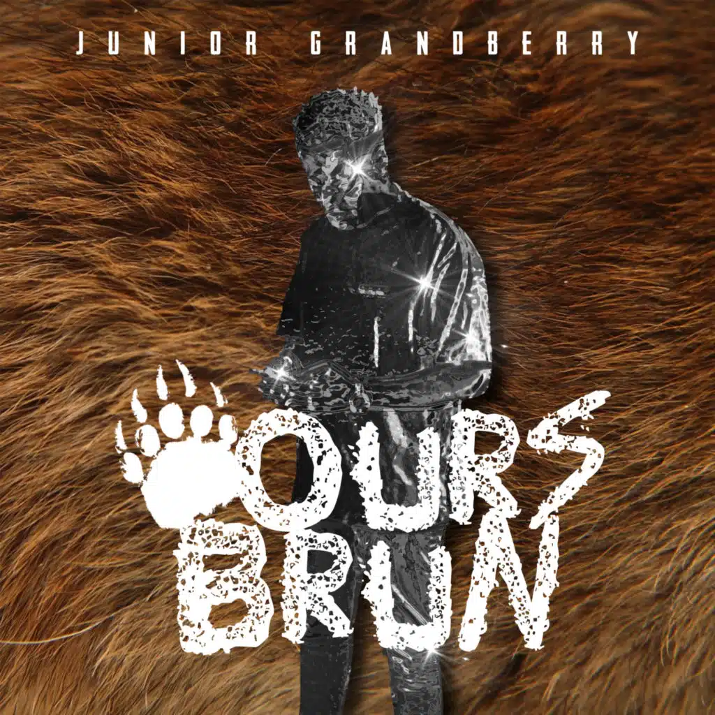 Ours Brun