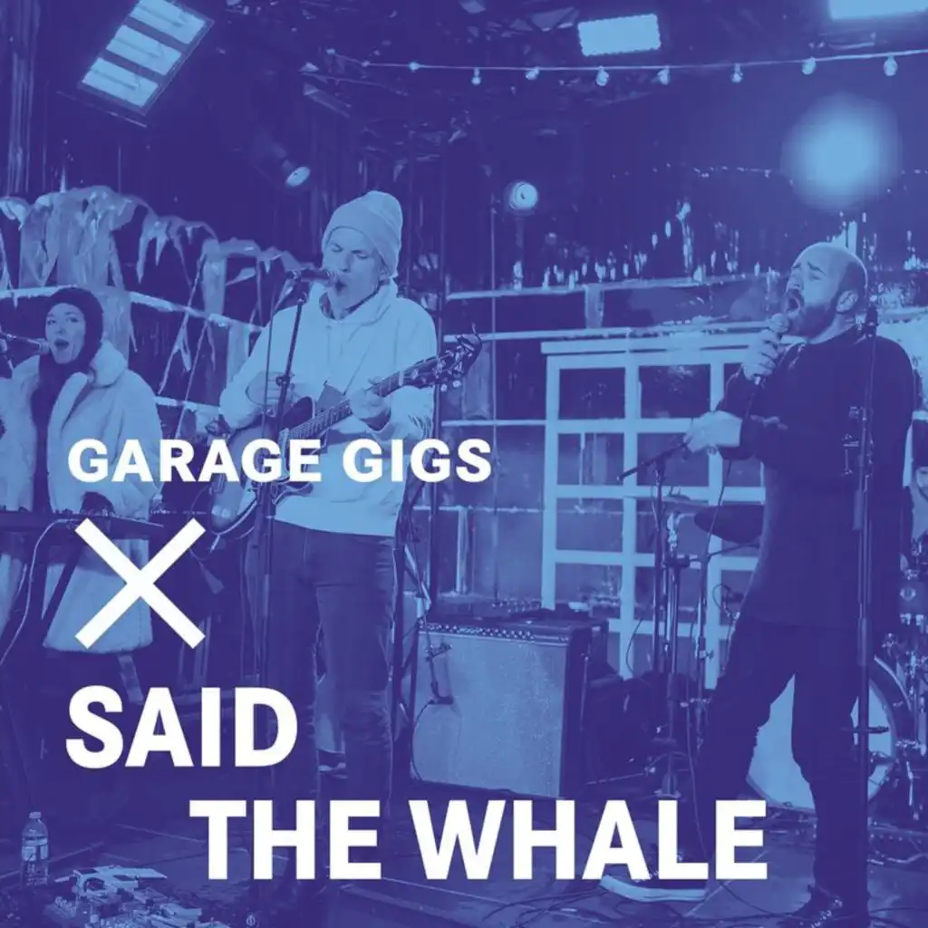 Garage Gigs (Live)