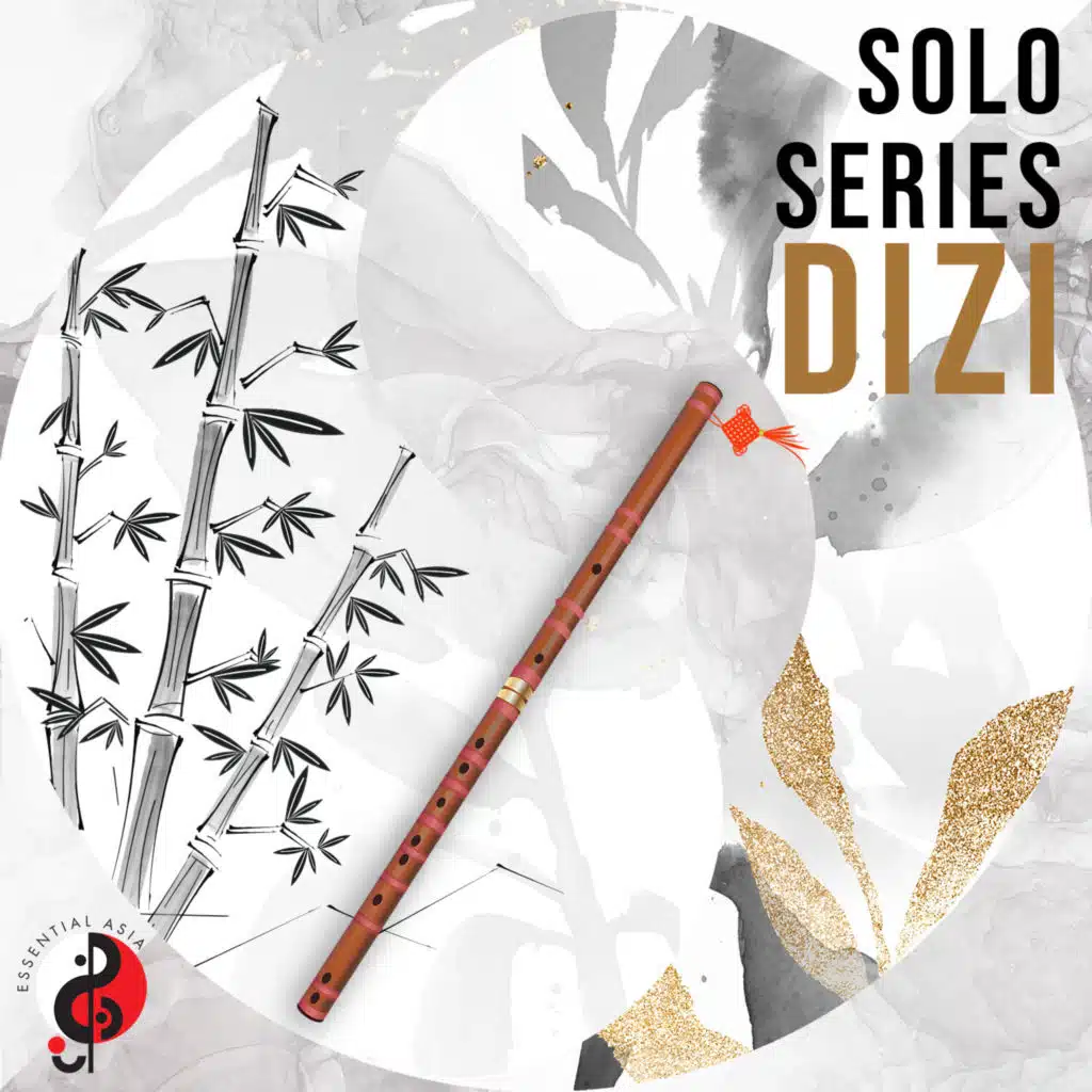 Solo Series: Dizi
