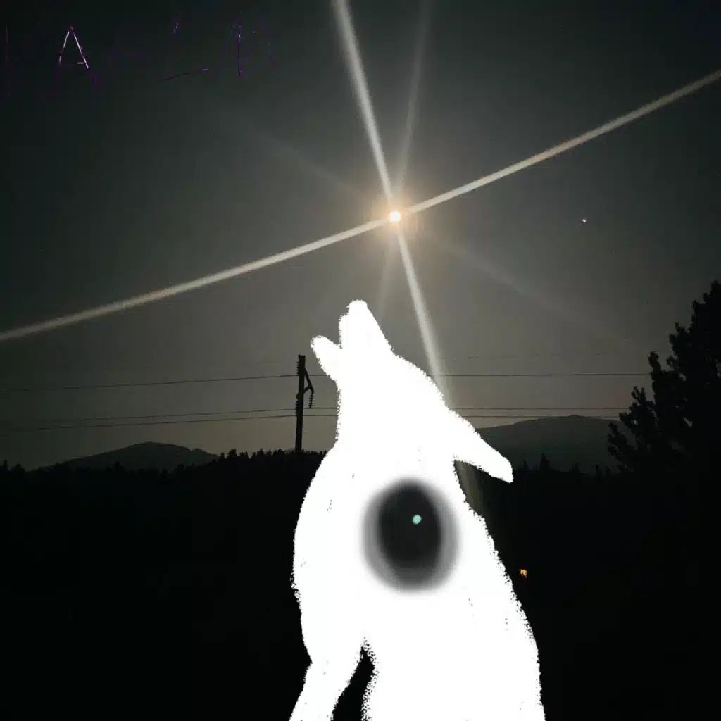 coyote