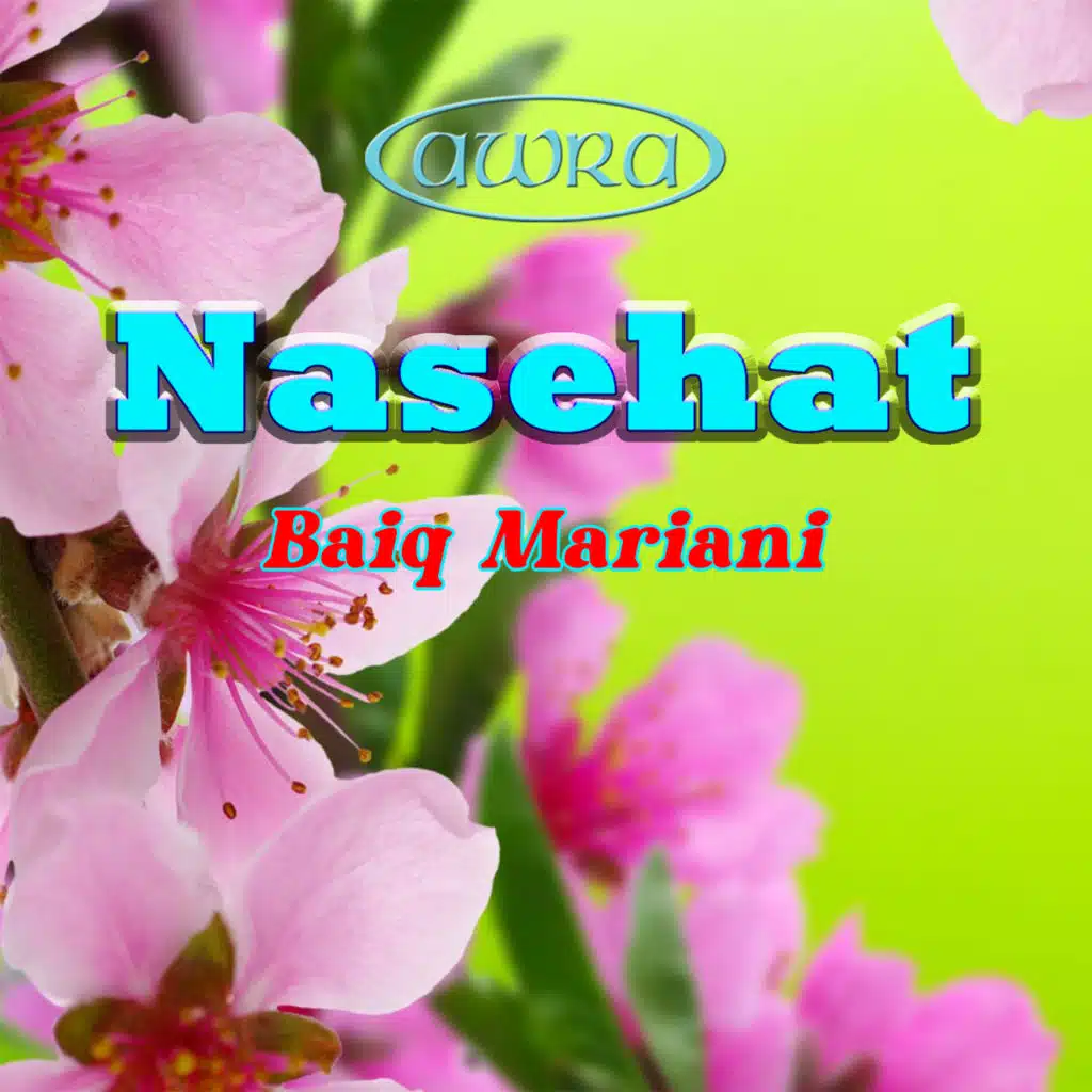 Nasehat (feat. AN Record)