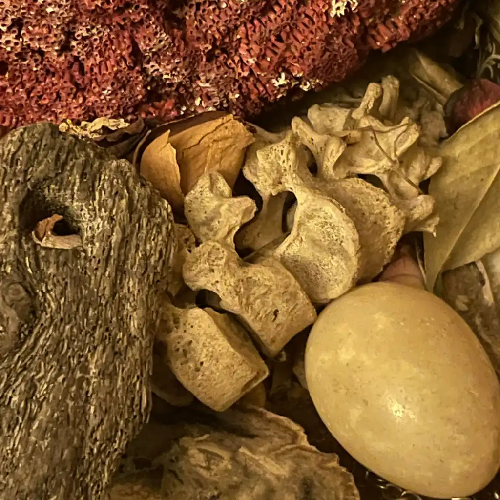 Scripture Of Love (feat. Regis & Simon Shreeve)