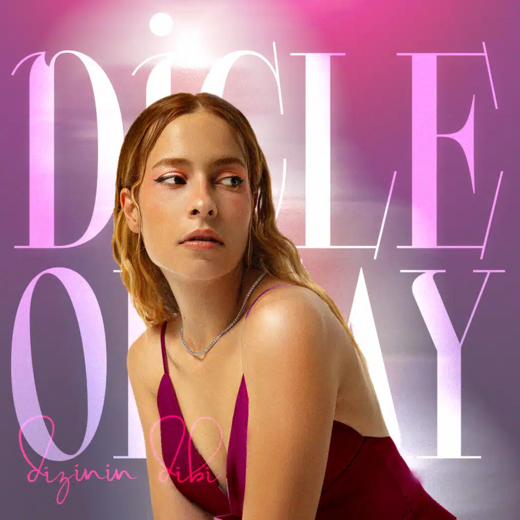 Dizinin Dibi (Akustik)