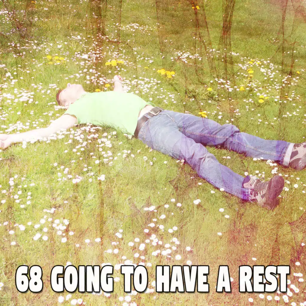 Einstein Baby Lullaby Academy