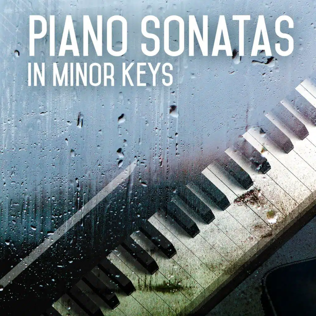 Piano Sonata No. 8 in A Minor, K. 310: I. Allegro maestoso