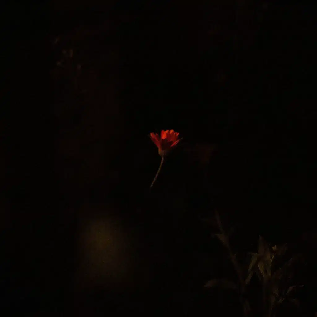 Improvised medley (Live)