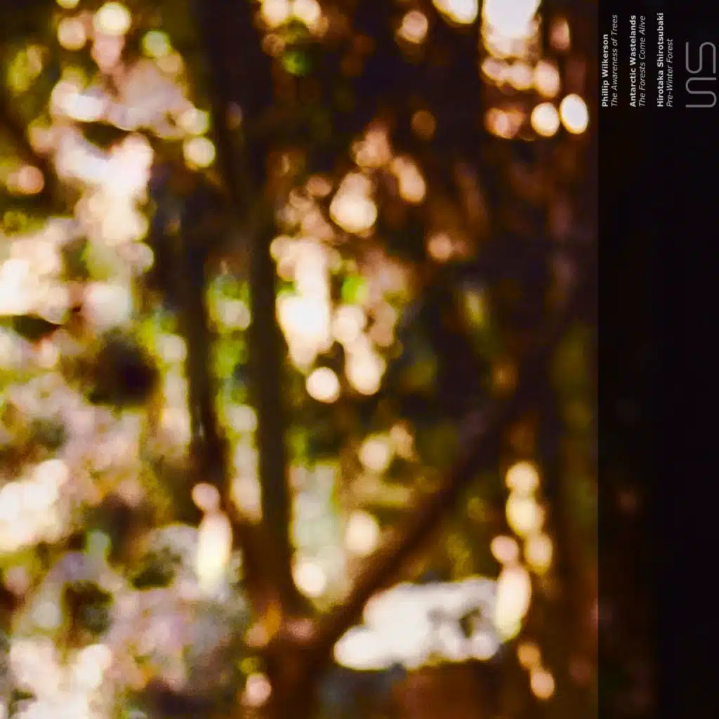 The Forests Come Alive