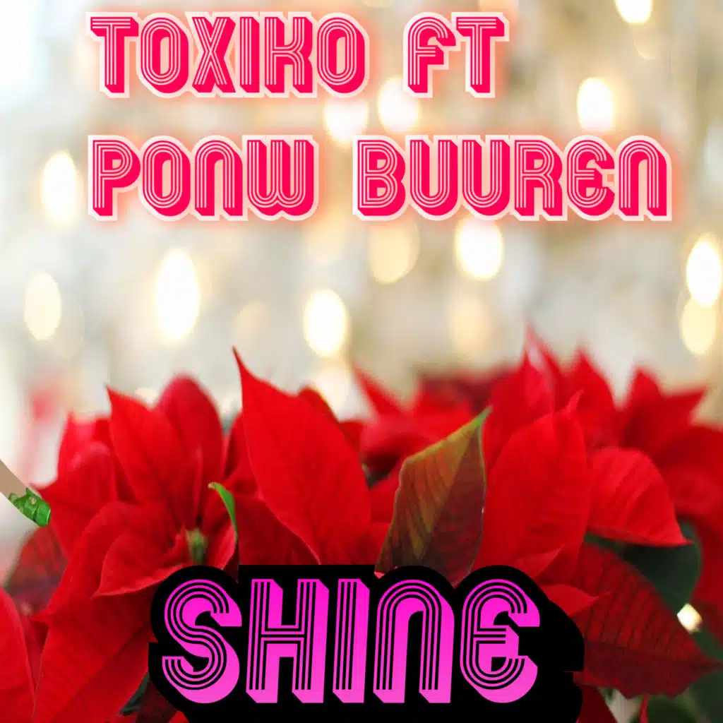 Shine (feat. Ponw Buuren)