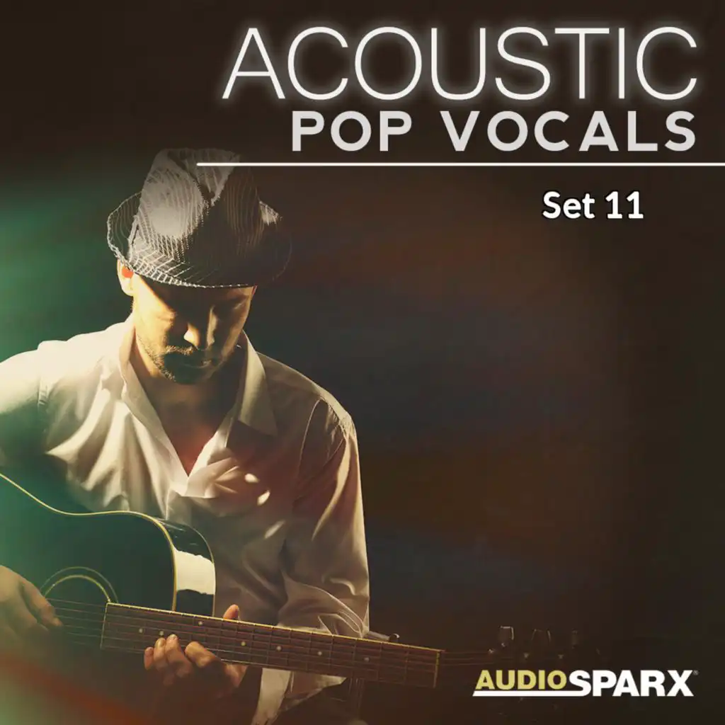 Acoustic Pop Vocals, Set 11