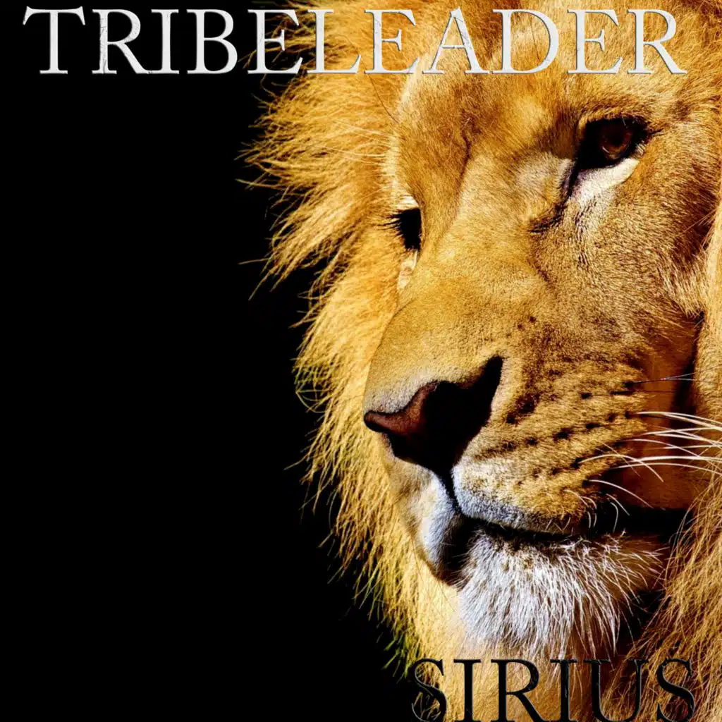 THE NEXT STEP (Instrumental)