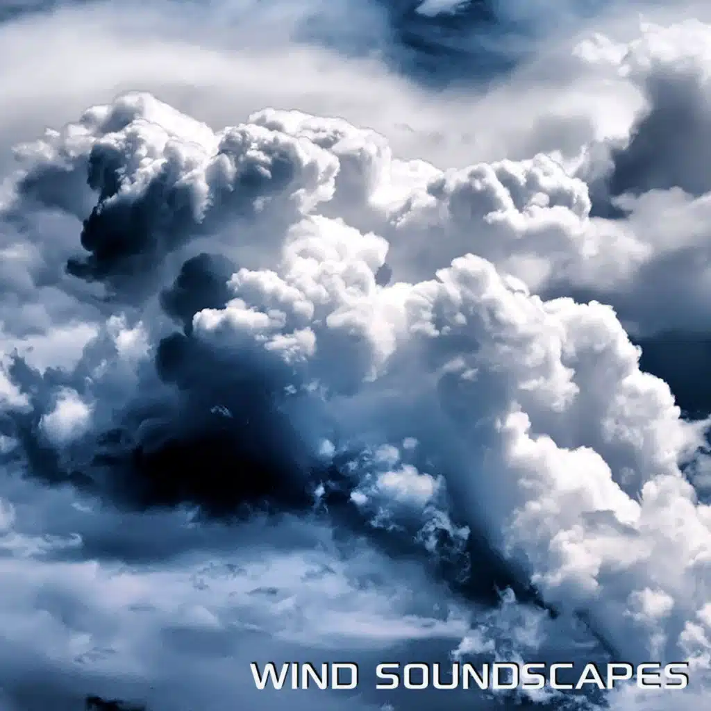 Relaxing Wind for Sleep (feat. Discovery White Noise, Discovery Nature Soundscapes, Discovery Africa Soundscapes, Sounds Nature, Weather Soundscapes & Storm Soundscapes) (Wind for Relax Remix)
