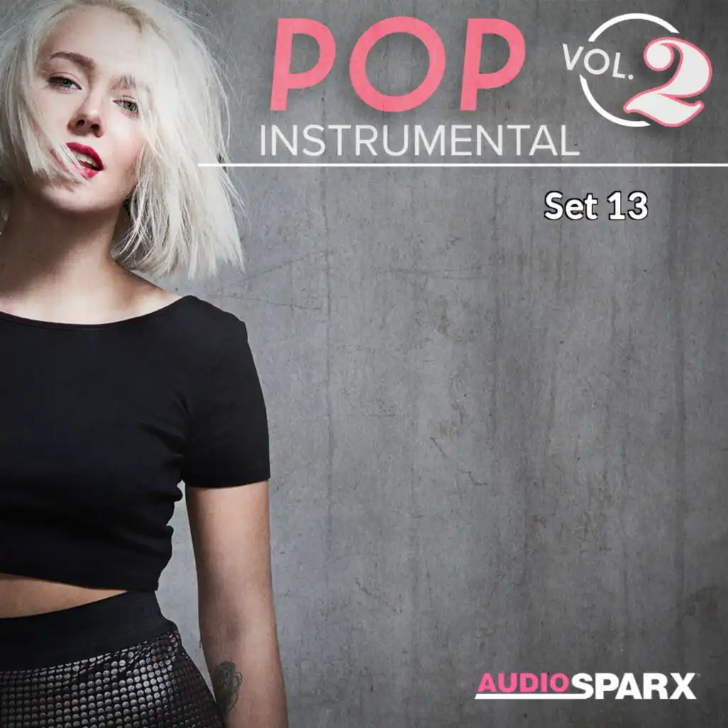 Pop Instrumental, Vol. 2, Set 13