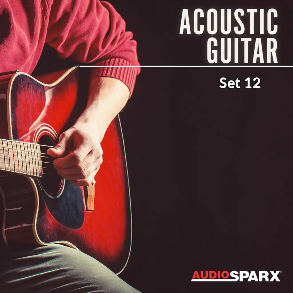 Acoustic Guitar, Set 12