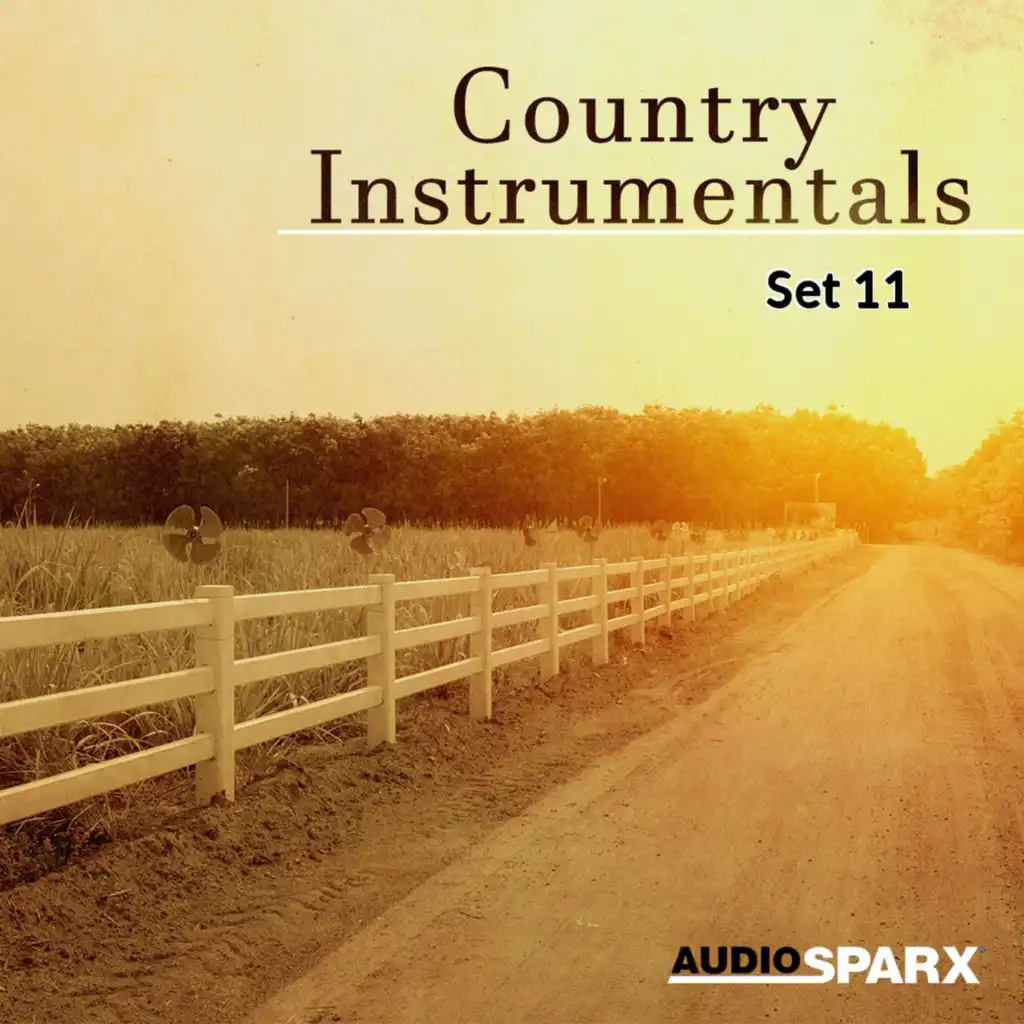 Country Instrumentals, Set 11