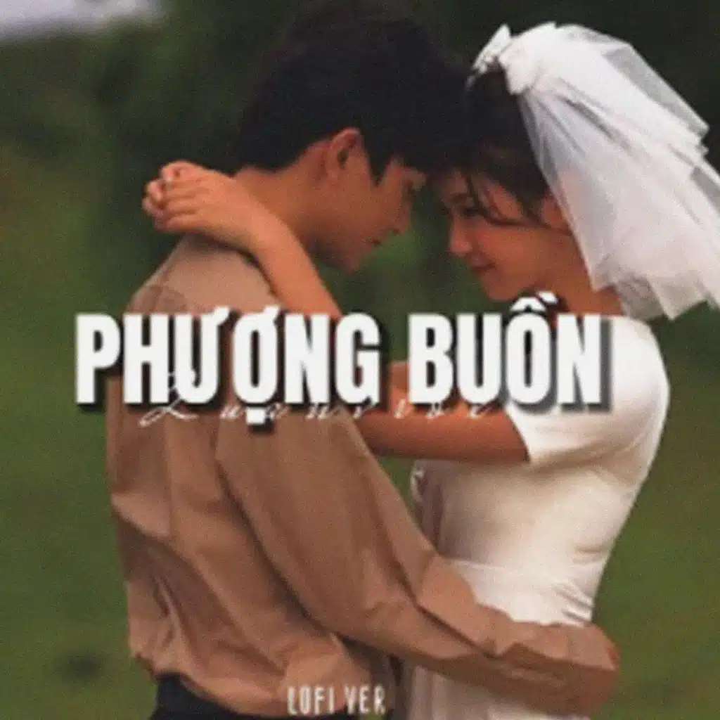 Phượng Buồn (Lofi)