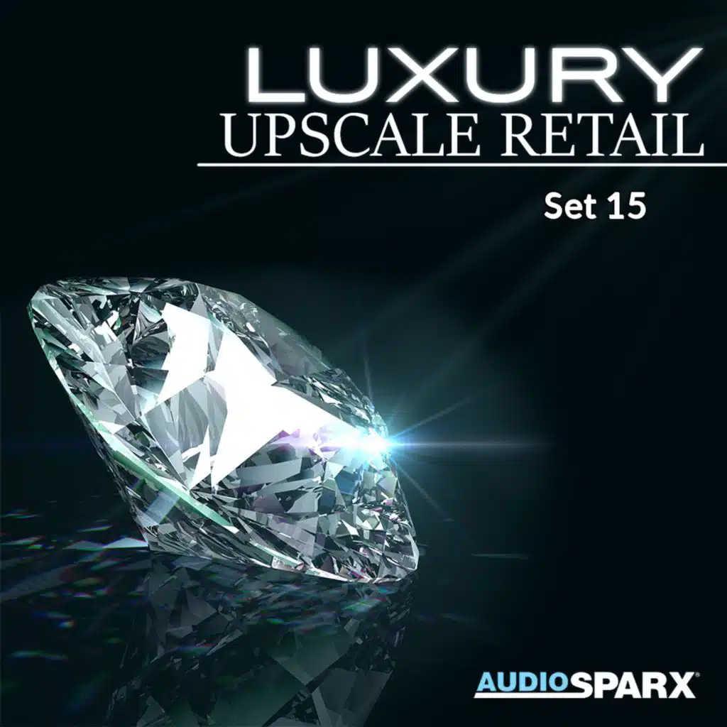 Luxury Upscale Retail, Set 15