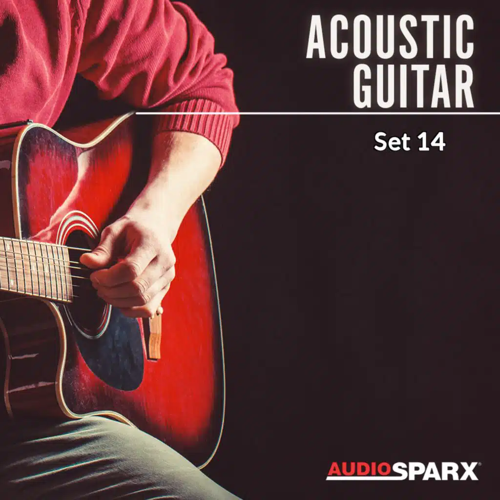 Acoustic Guitar, Set 14