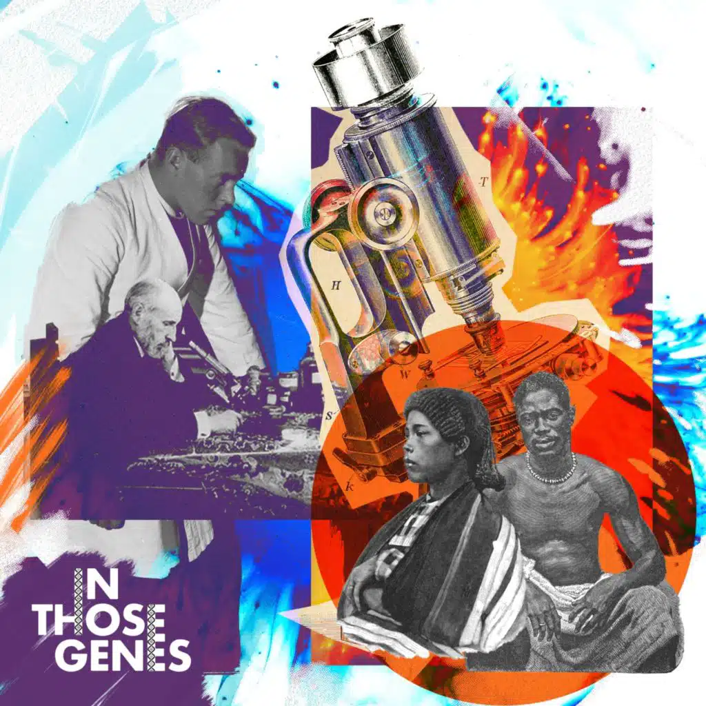 How the World Inherited Blackness