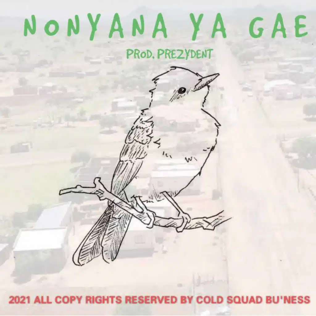 Nonyana Ya Gae