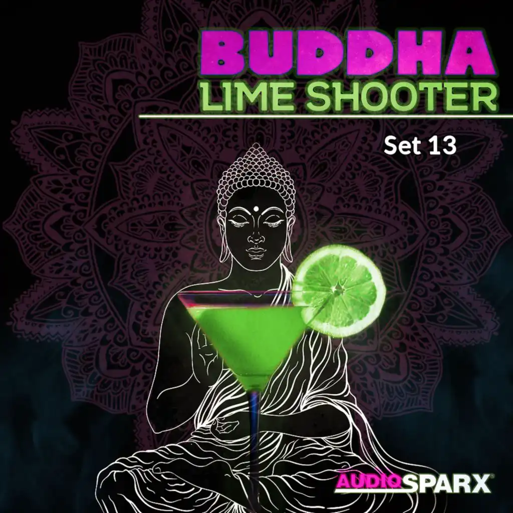 Buddha Lime Shooter, Set 13