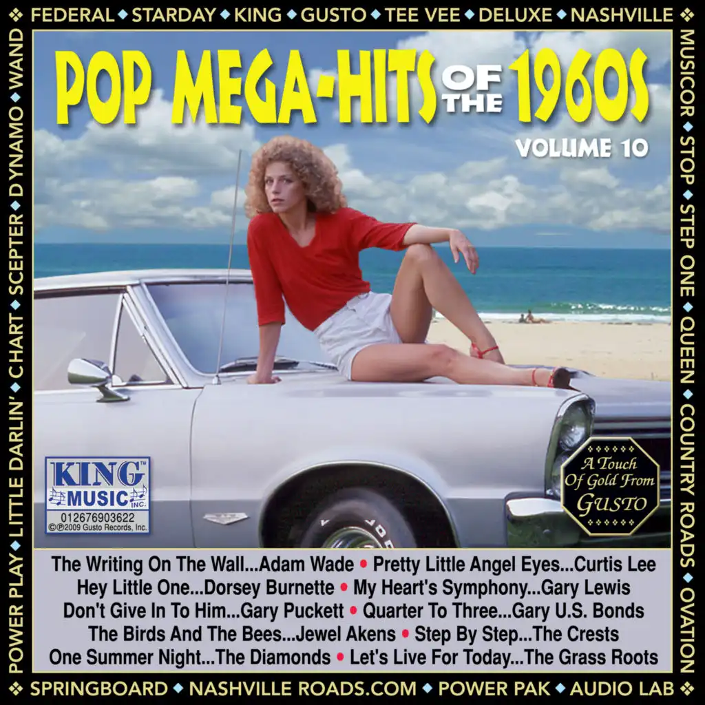 Pop Megahits Of The 1960's - Volume 10