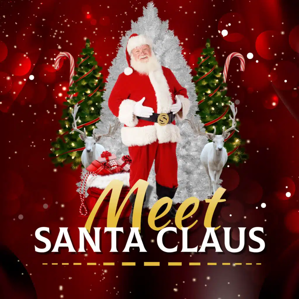 The Time Of The Year