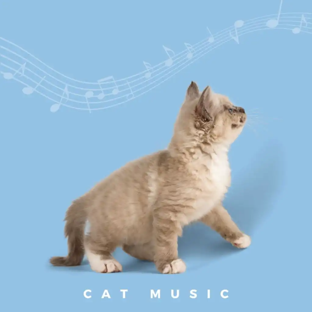 Soothing Cat Music