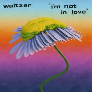 Waltzer