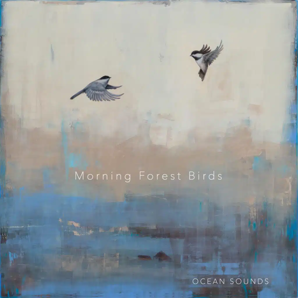 Morning Forest Birds