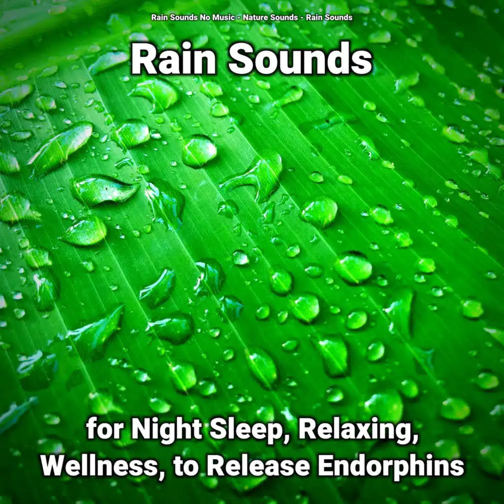 Rain Sounds for Night Sleep and Relaxing Pt. 16