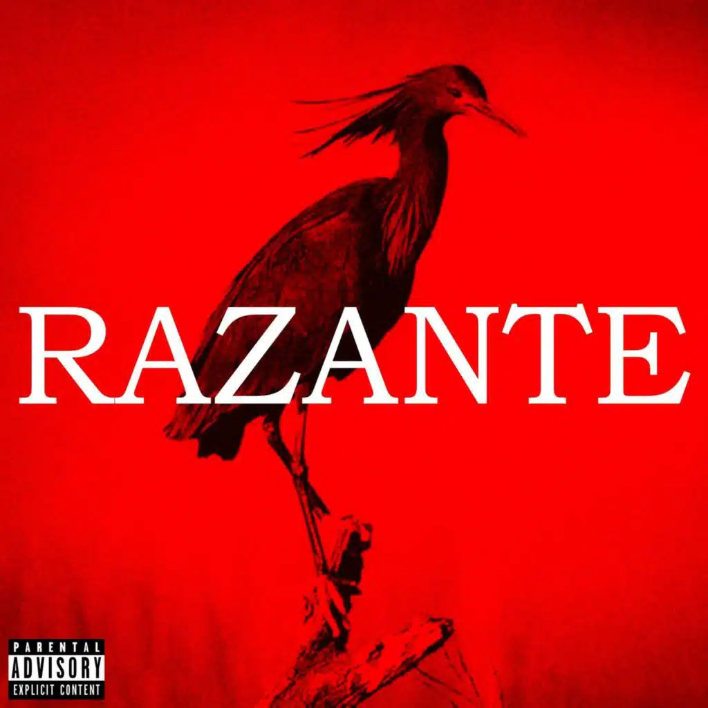 RAZANTE