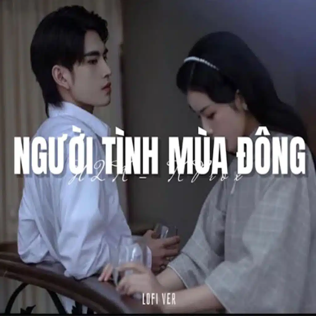 Người Tình Mùa Đông (Lofi)