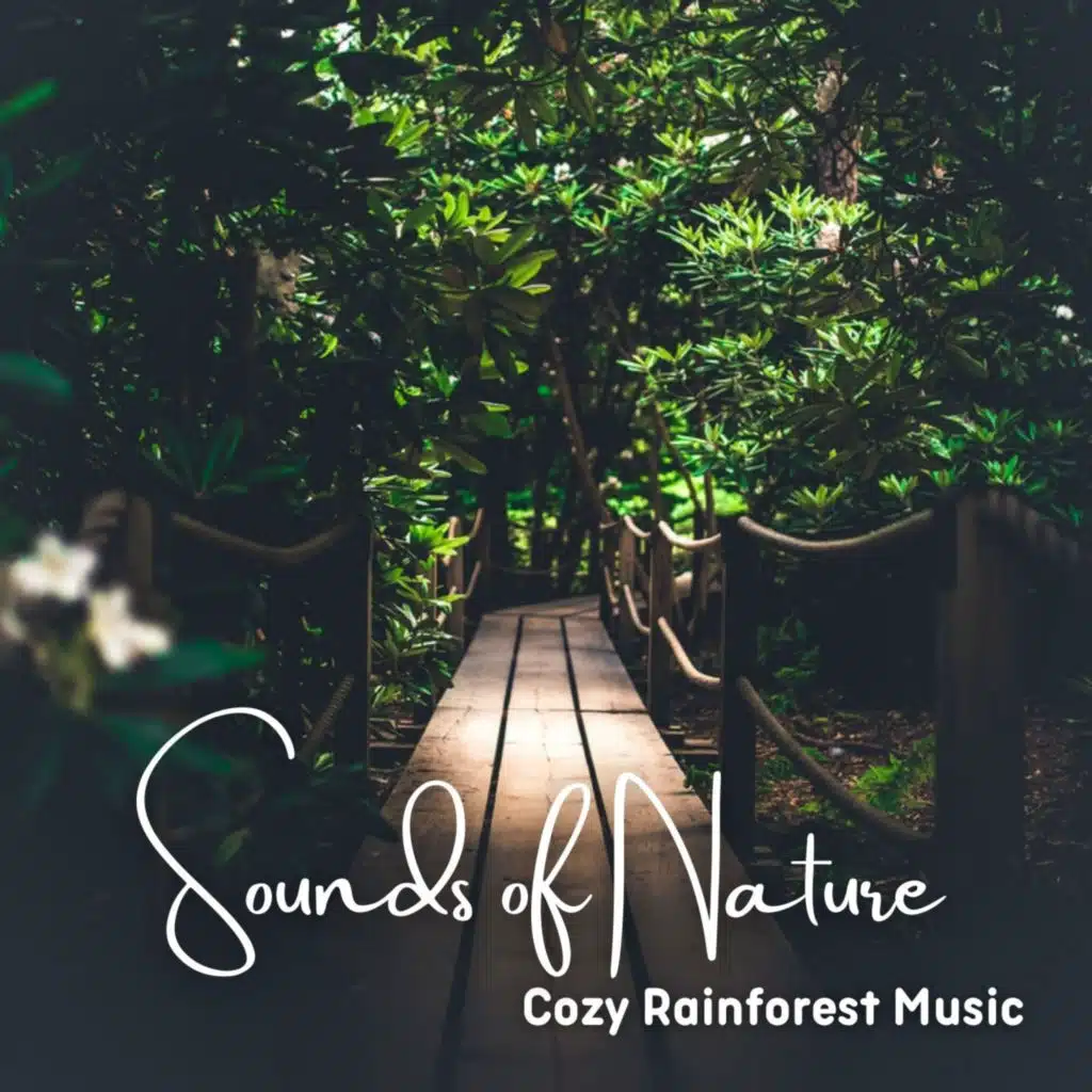 The Rainforest Collective, Rainforest Sounds & Rainforest Meditations