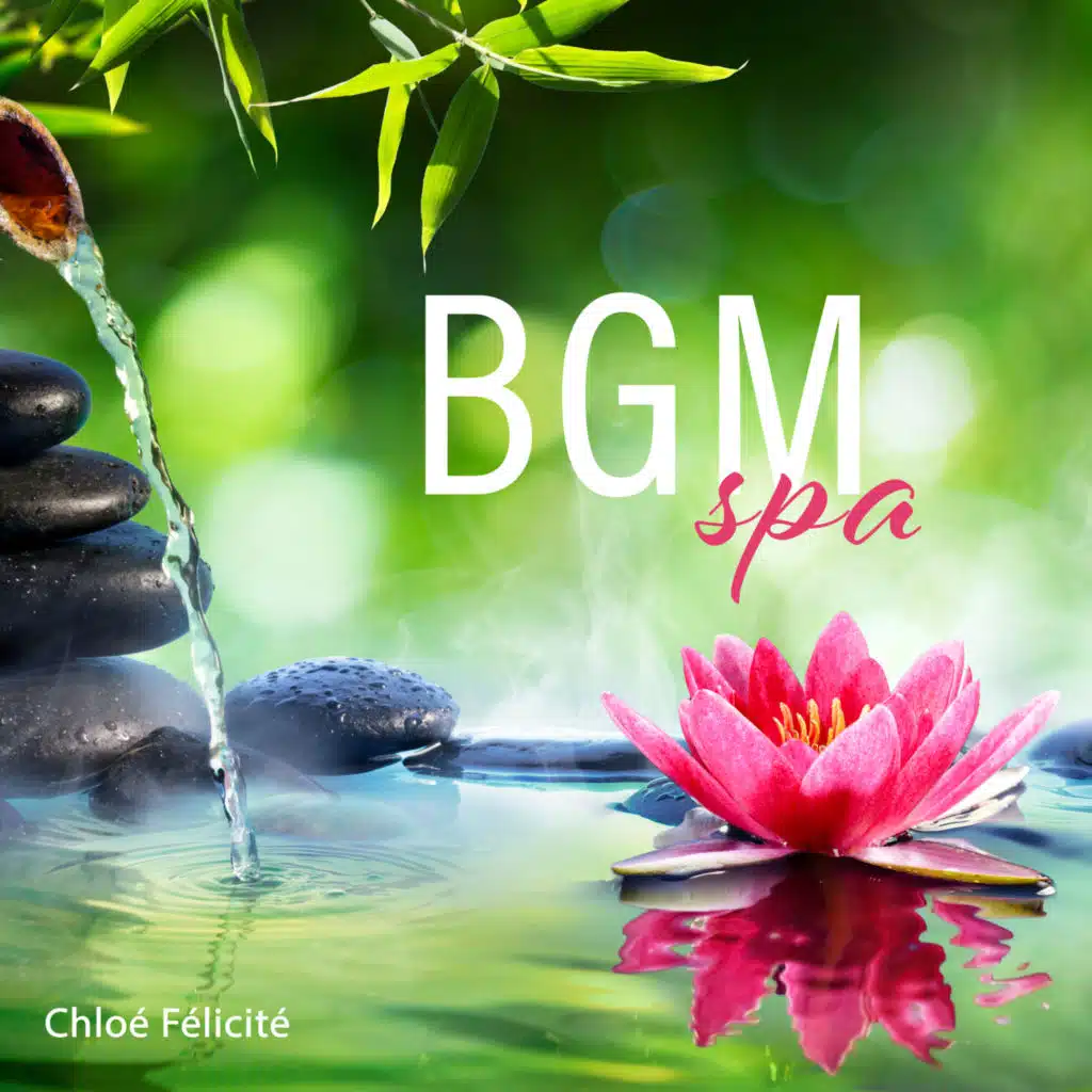 BGM spa: Musique zen apaisante pour massage et méditation