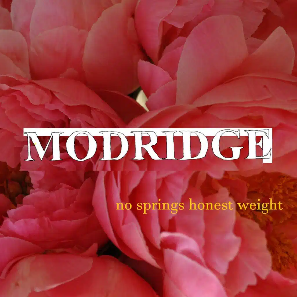 No Springs Honest Weight
