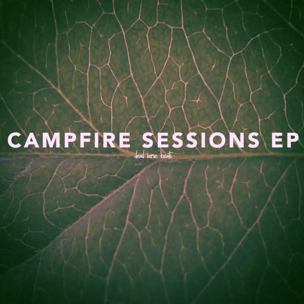 Campfire Sessions