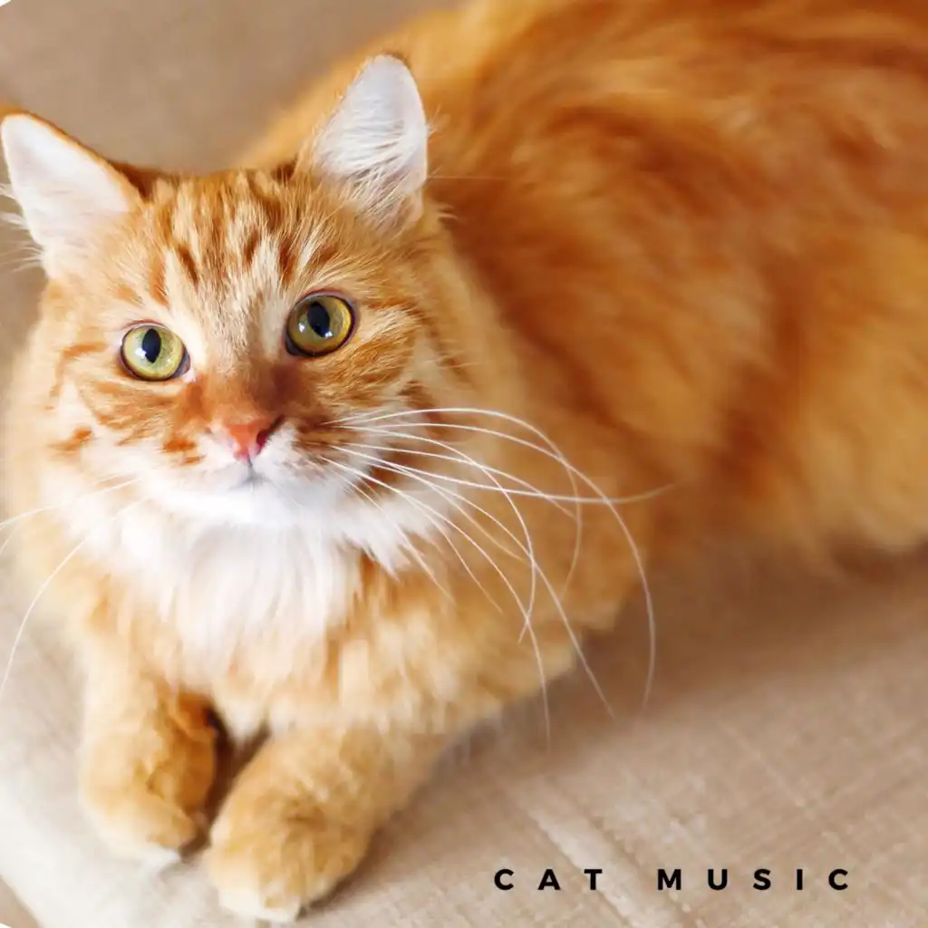 Comforting Cat Music