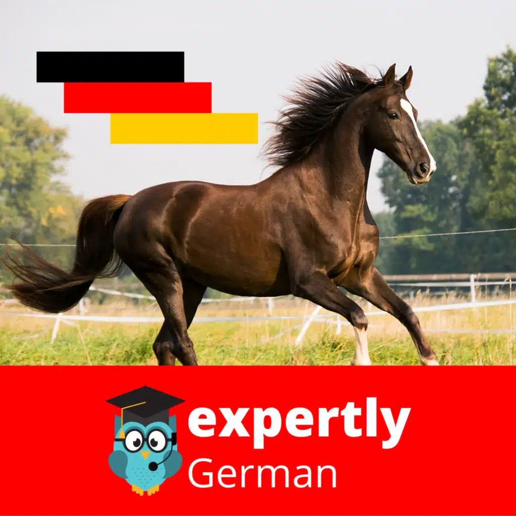 #46 - Saying of the day//Possessiv-Pronomen//News in German (with English translation)