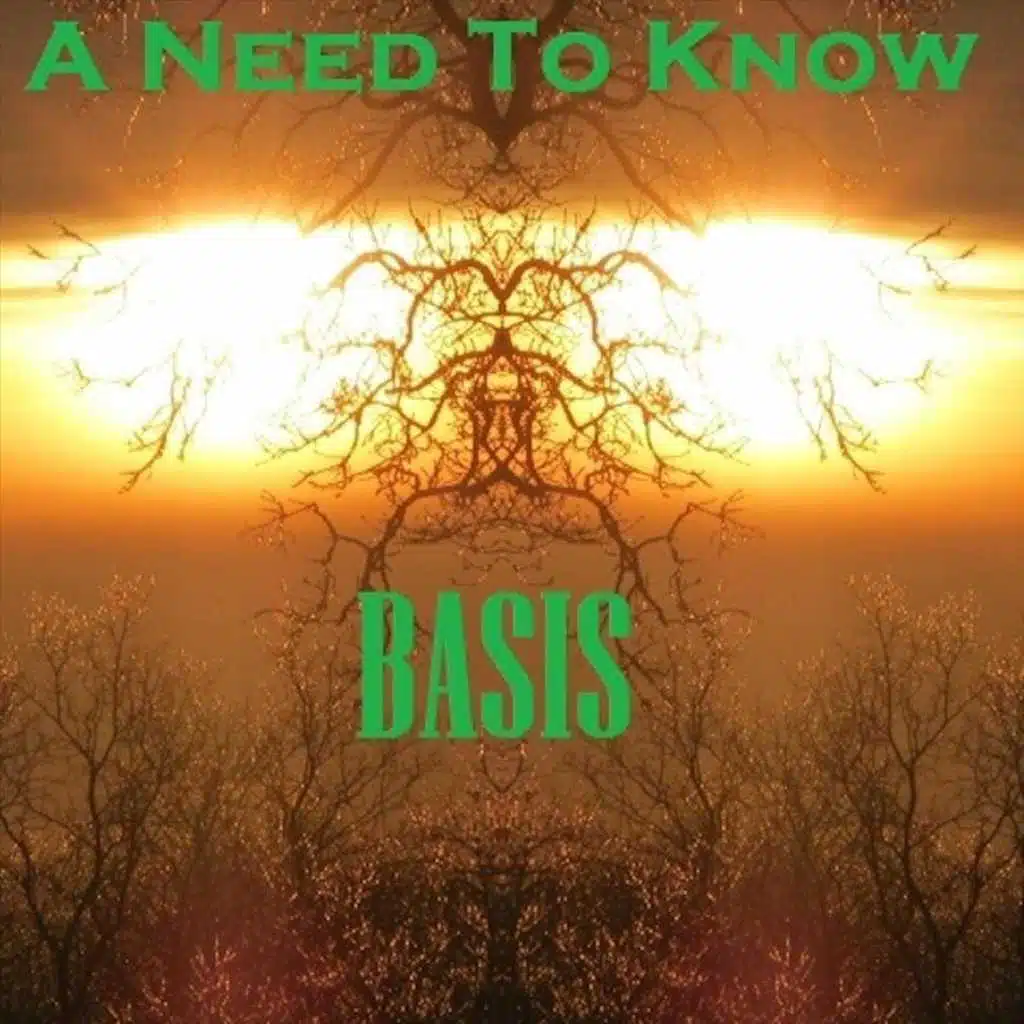 Basis