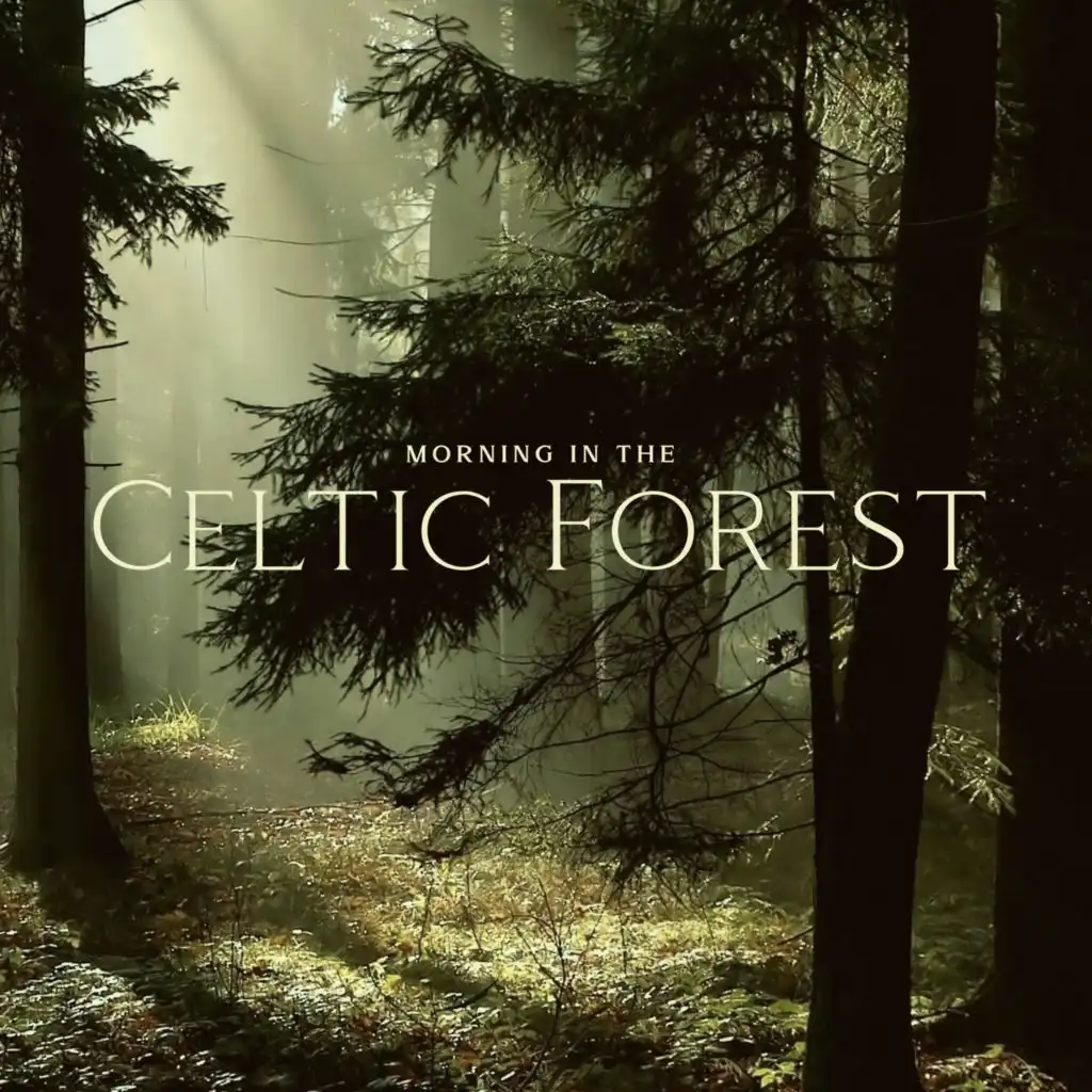 Morning in the Celtic Forest: Relaxation Therapy for Schizophrenia and ADHD