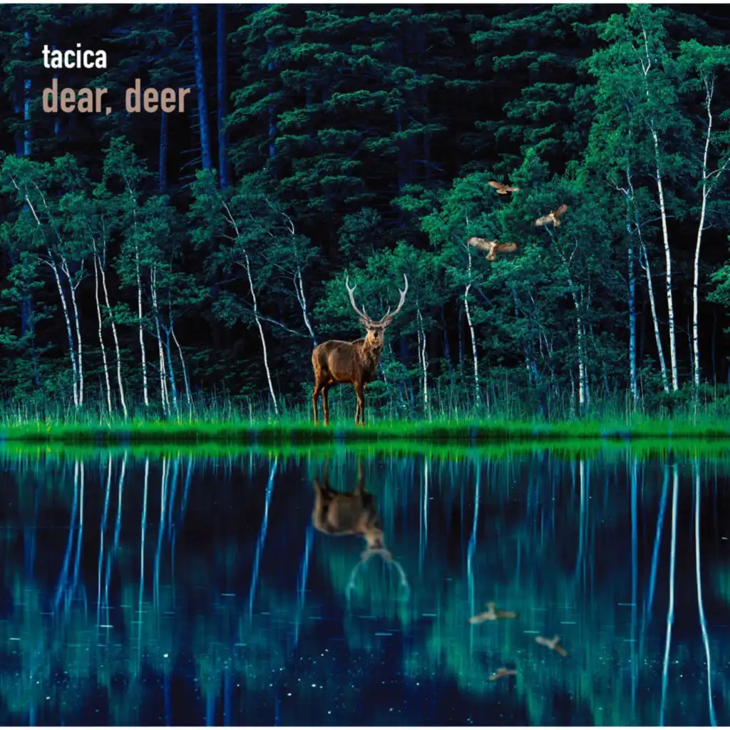 BEST ALBUM dear, deer